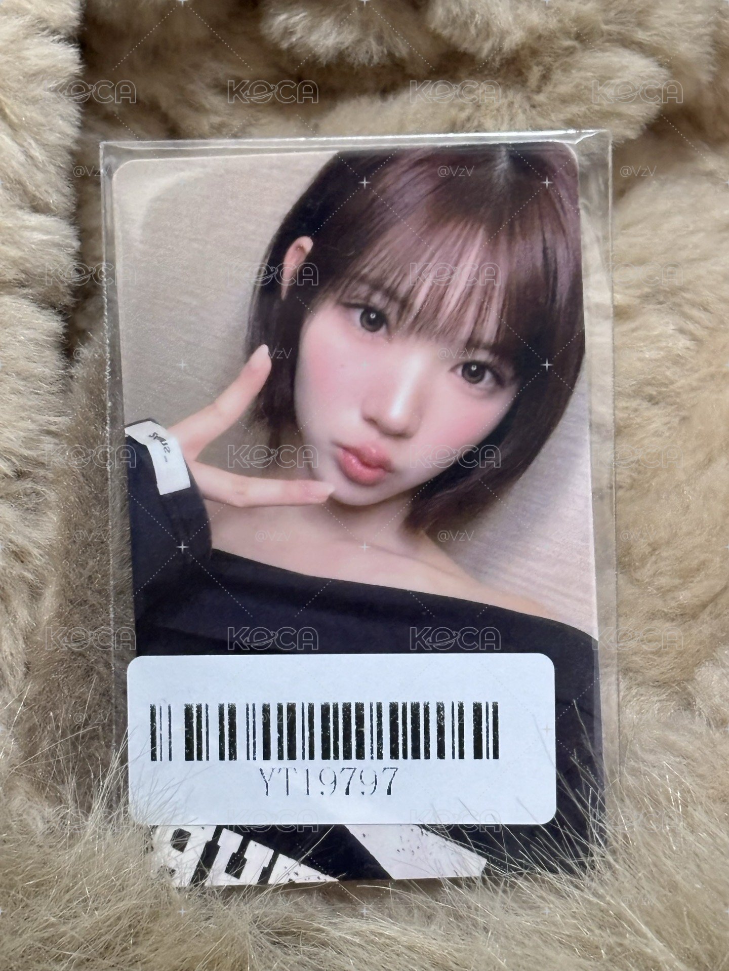 Jiwoo Focus kms 2.0 v1簽售卡 上海