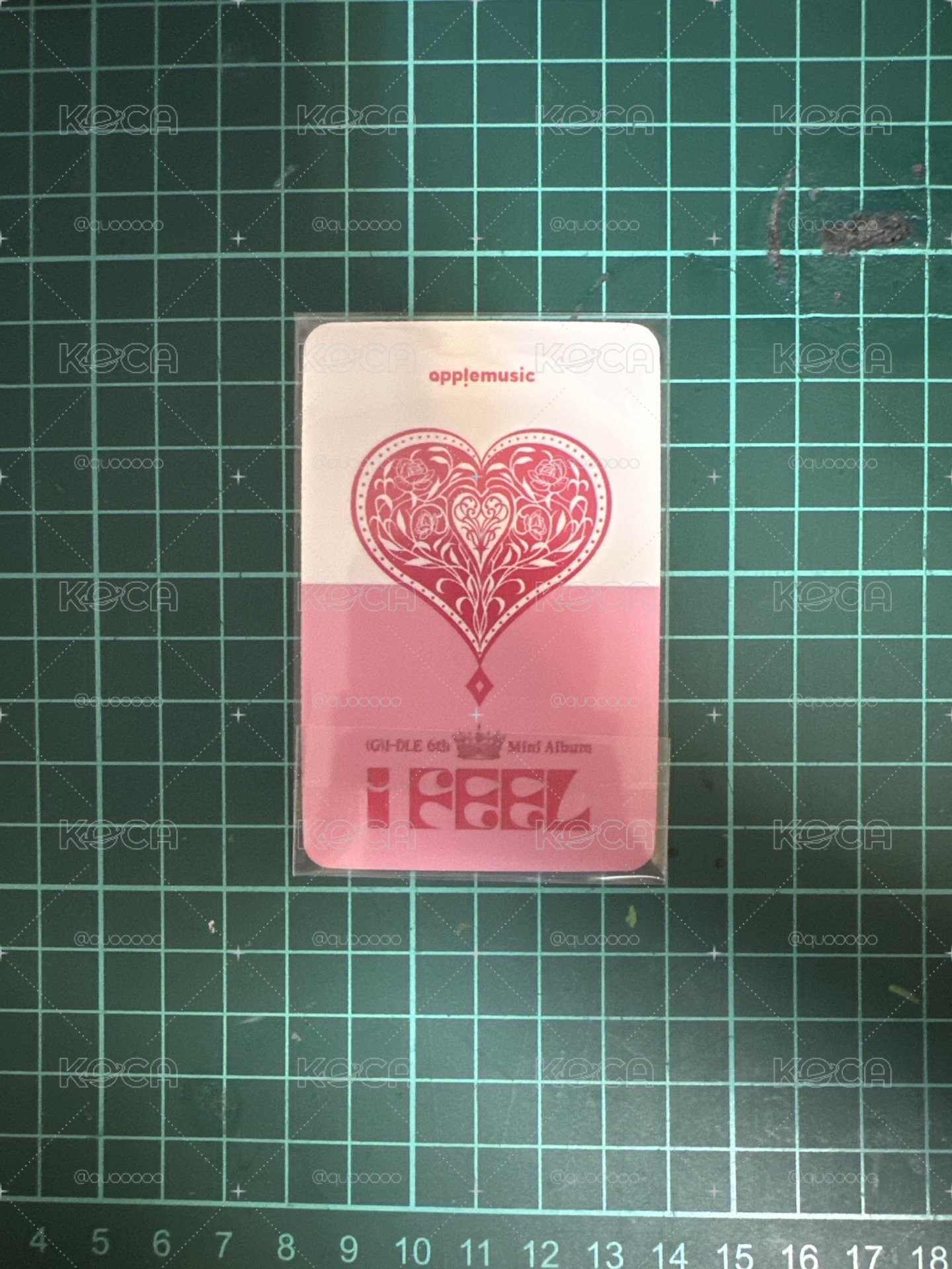 妮 am2 簽售卡