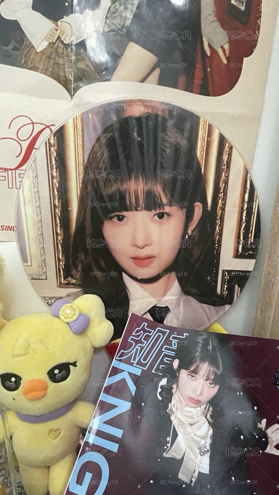 怜大王扇 扇子 