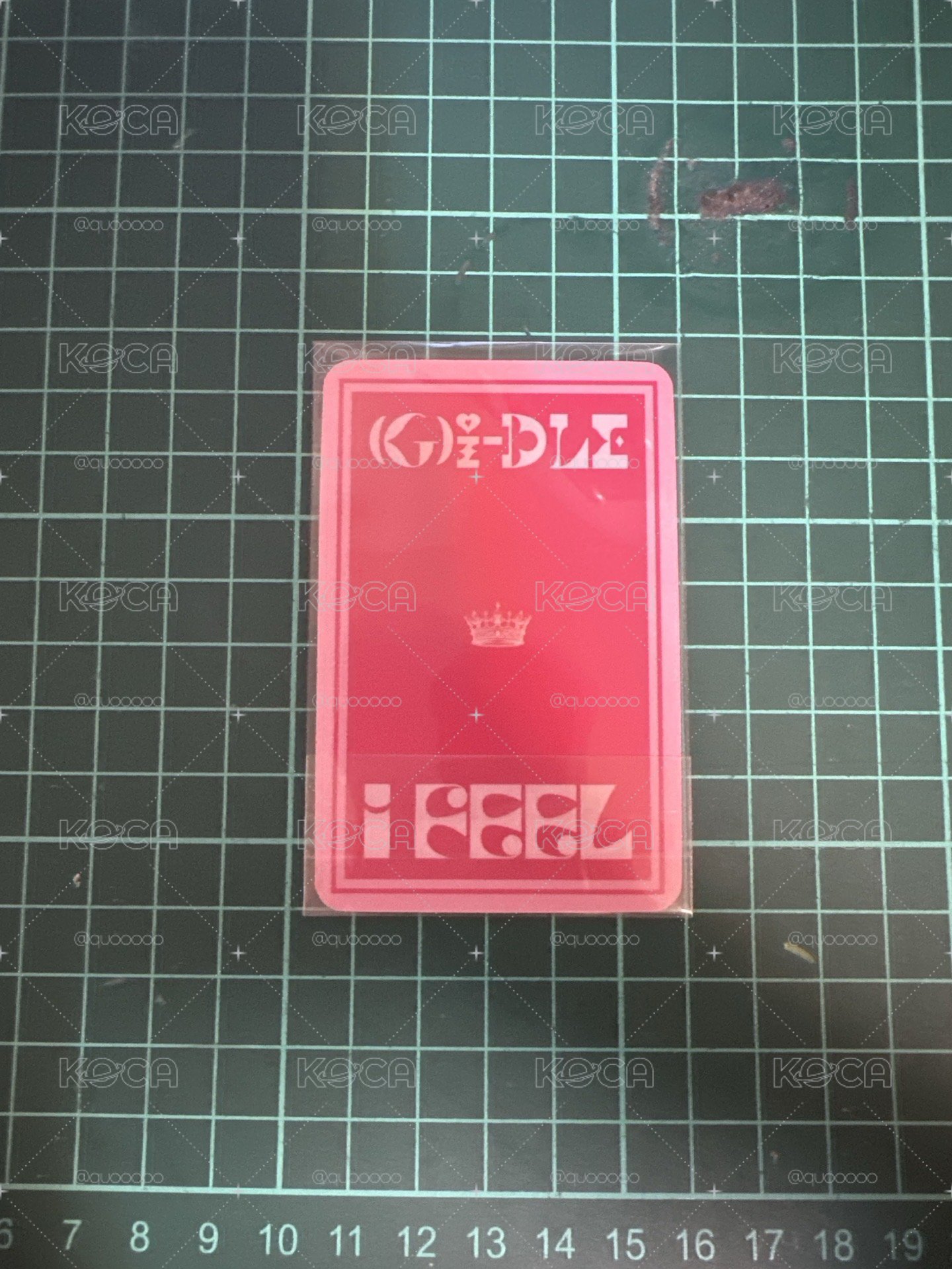 蝦皮妮
