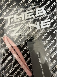 應援手燈 JAPAN TOUR:THE B-ZONE