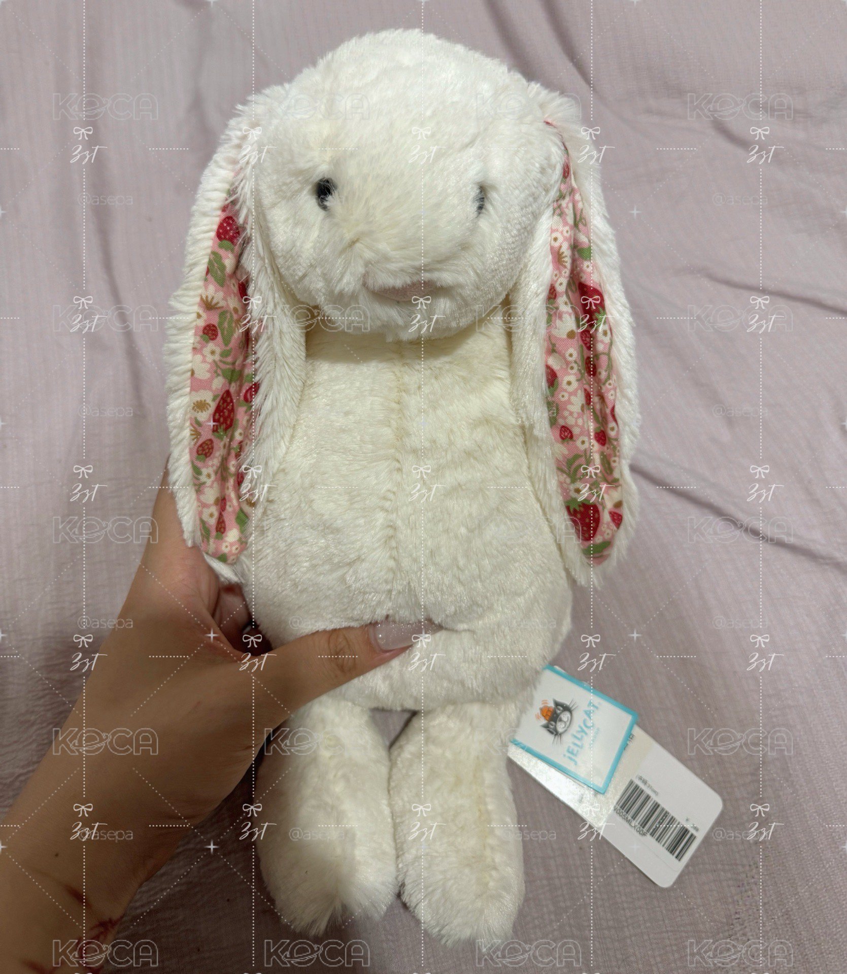 jellycat 兔兔