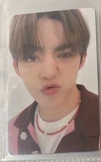 哲💋