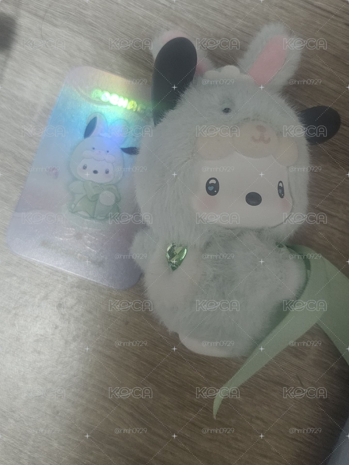 怕洽狗鑽石兔寶寶