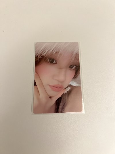 正二 wvs 1.0 預售 特典卡 