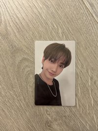 19.99 wvs ver