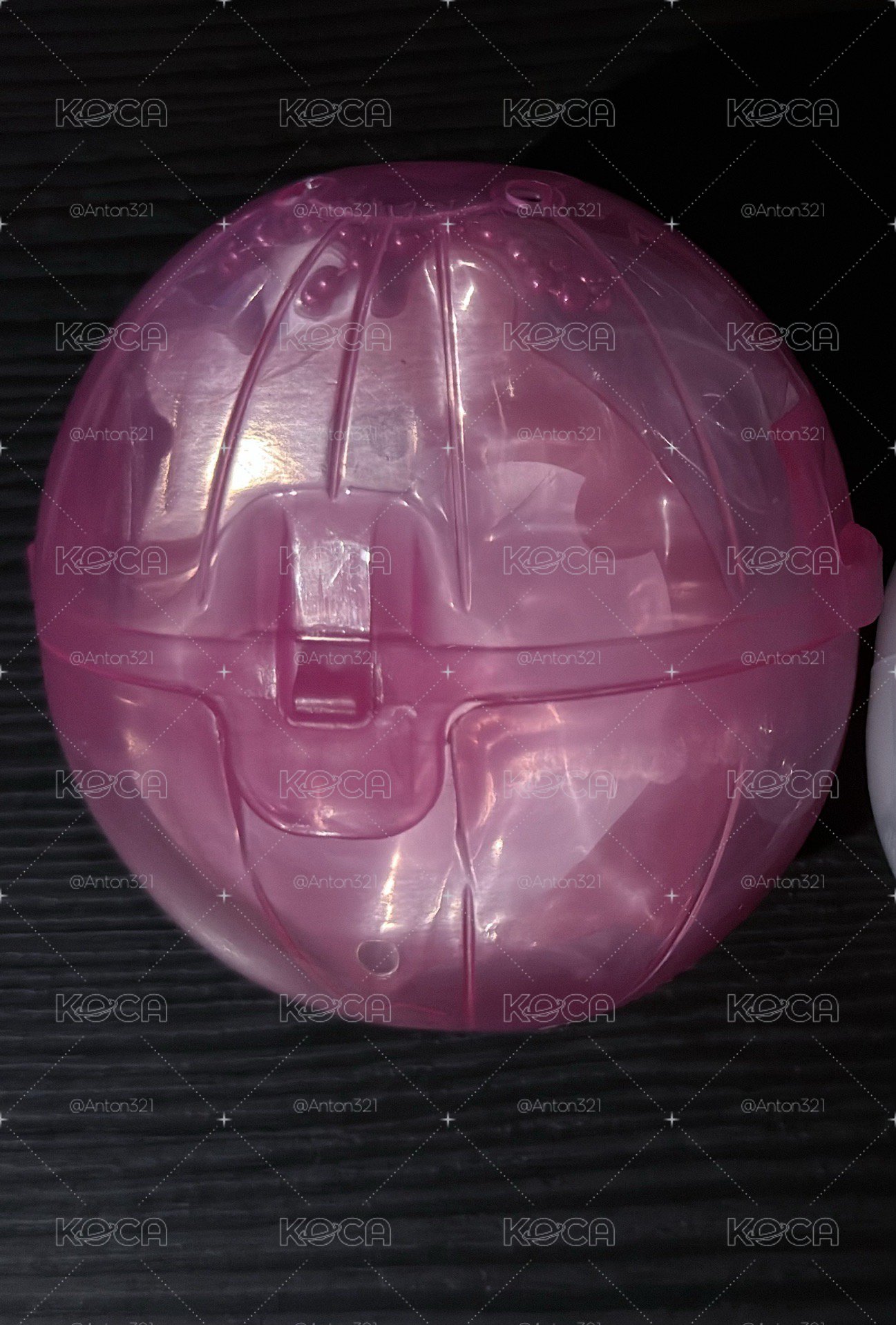 萬代扭蛋 栗子扣