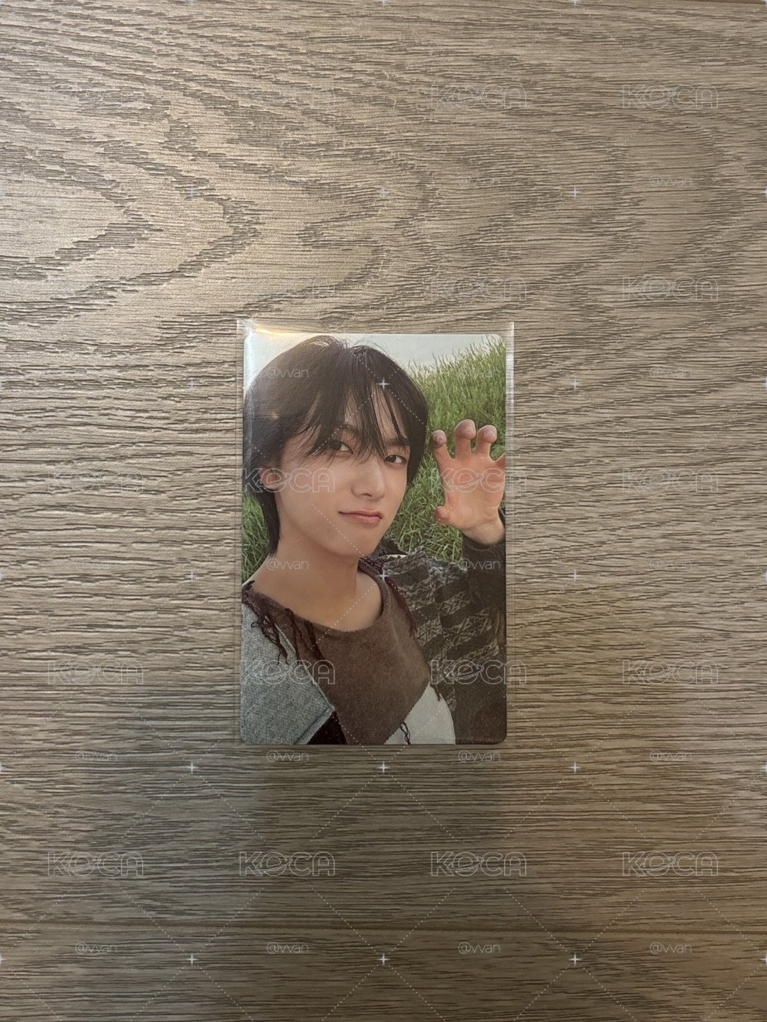 Boynextdoor Sungho 🐱