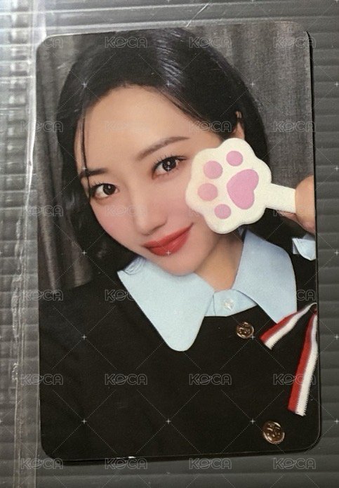 秀雅貓掌