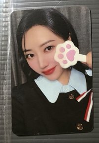秀雅貓掌