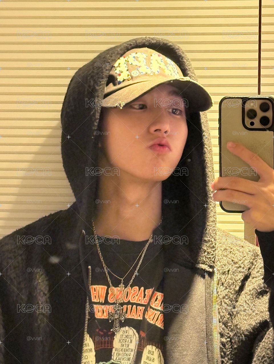 Stray Kids Han 專區🐿️