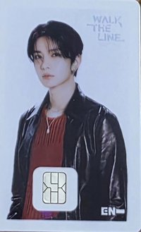 WTL世巡 交通卡 