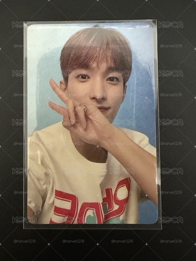 順毛小狗碩💎