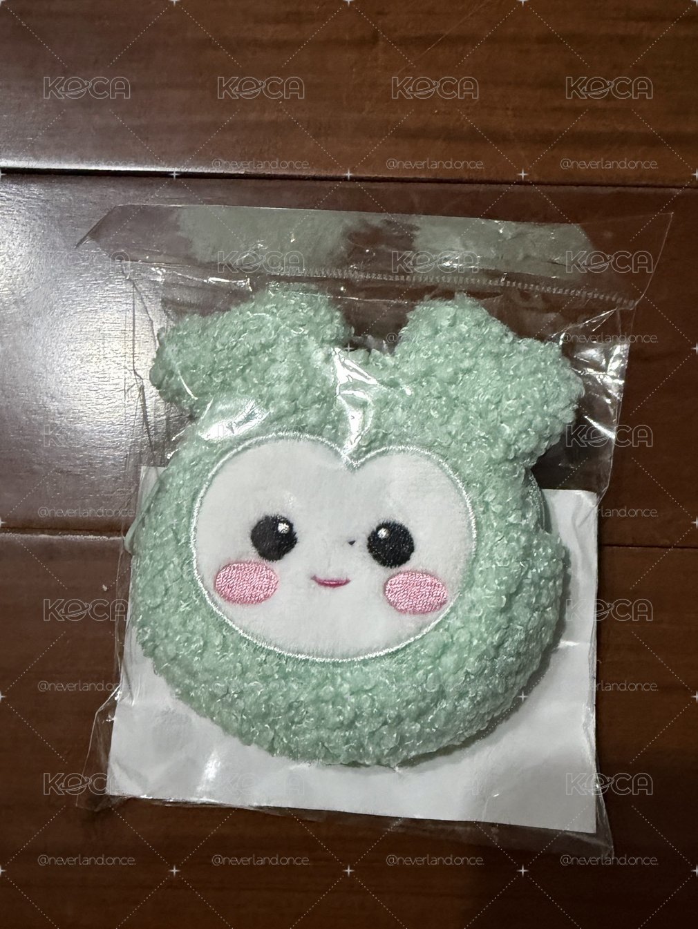 TWICE 新國立周邊 現貨