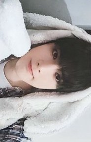 正規二 Pt2 mr 3.0橫版兔毯 簽售卡 