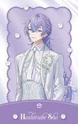 Luminous Marriage 普 隨機卡 