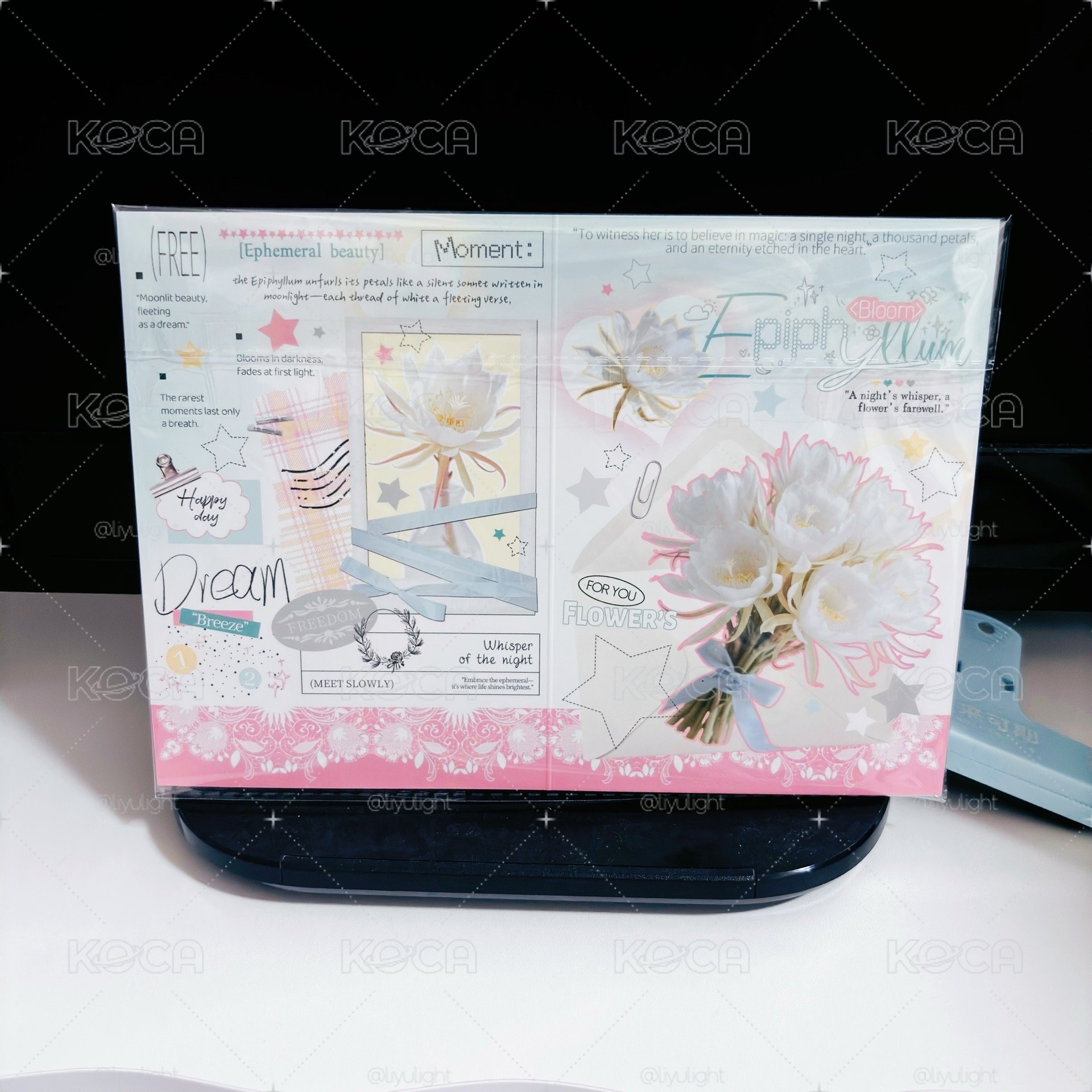 曇花一現文創1pset共24p