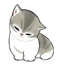 曼赤肯貓