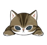 虎斑貓