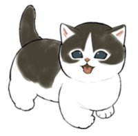 奶牛貓