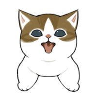 乳白貓