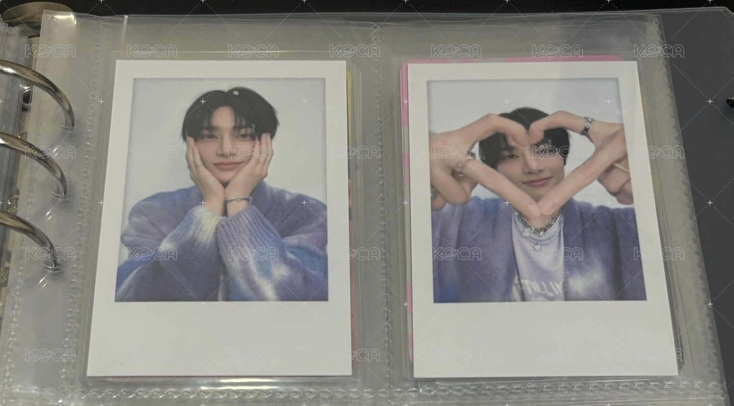 9🦊