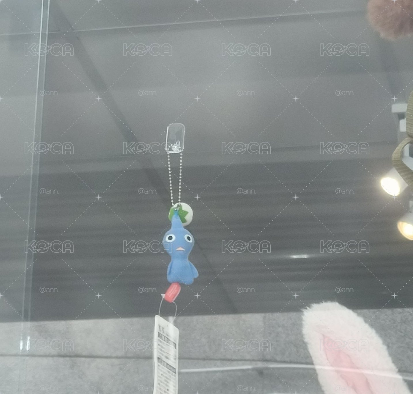 孤單的皮克敏