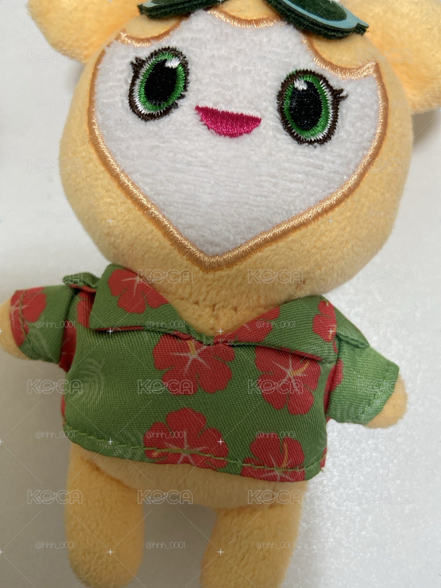 夏威夷🌺效娃
