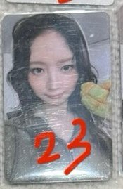 23