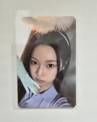 圭
