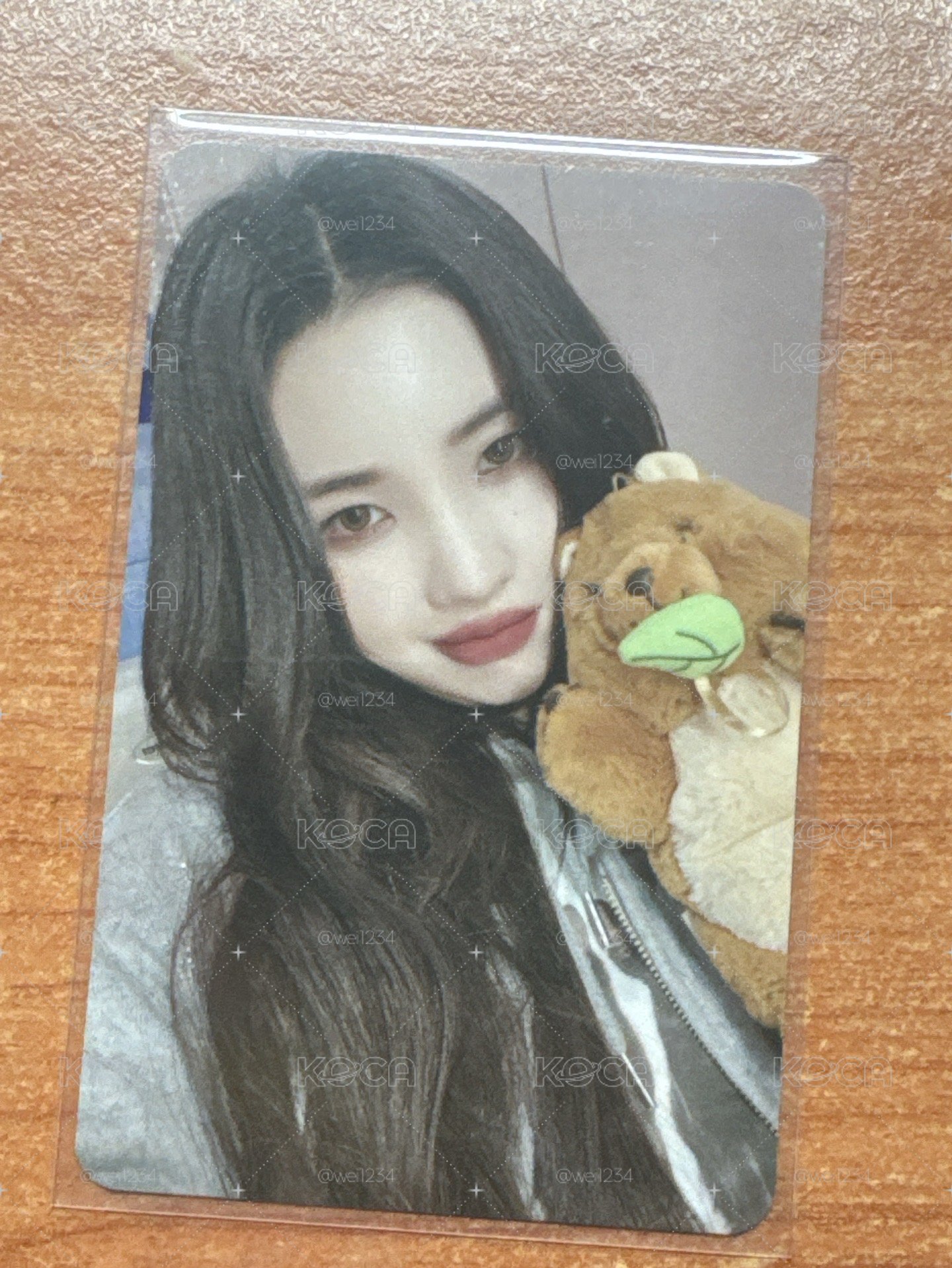 idle 短尾矮袋鼠 娟