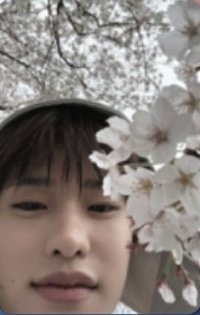 II PB llog A 專輯卡 