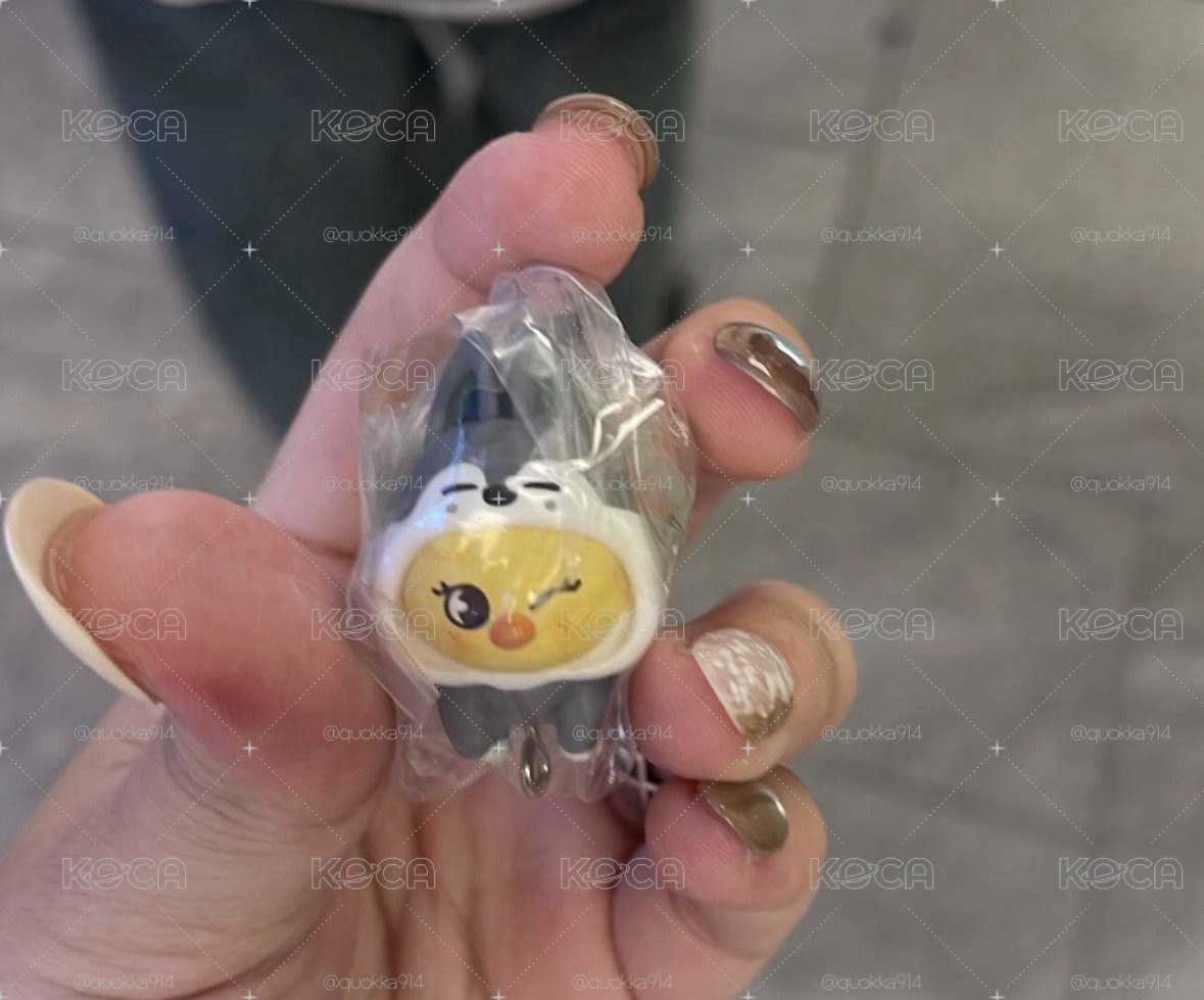 🍮菲 換皮扭蛋