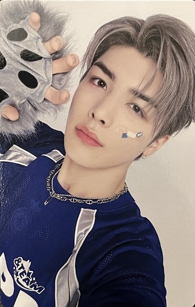 狼爪小狼
