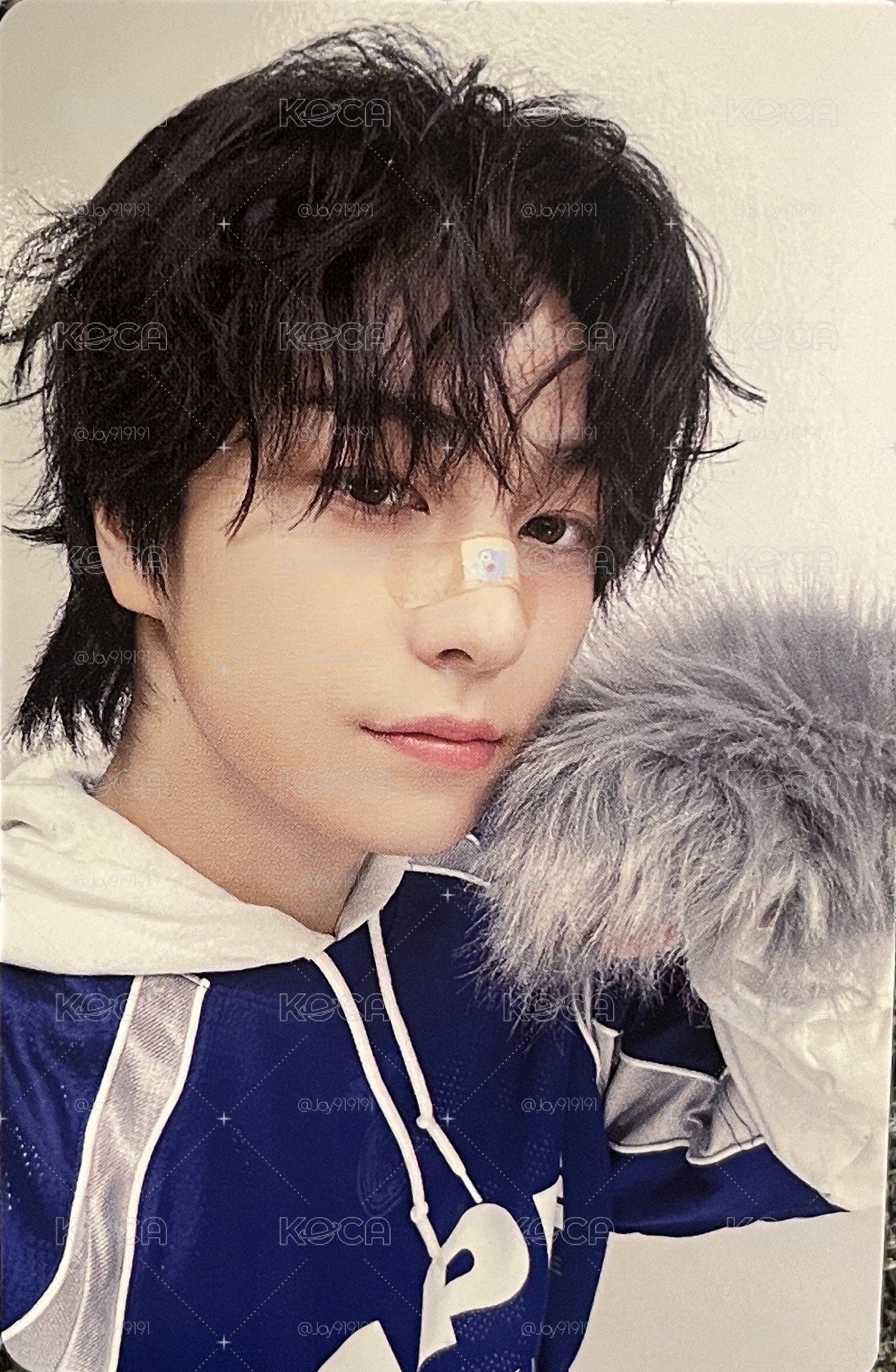 狼爪小狼