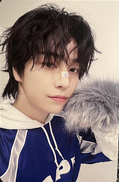 狼爪小狼