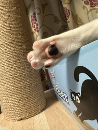 米米