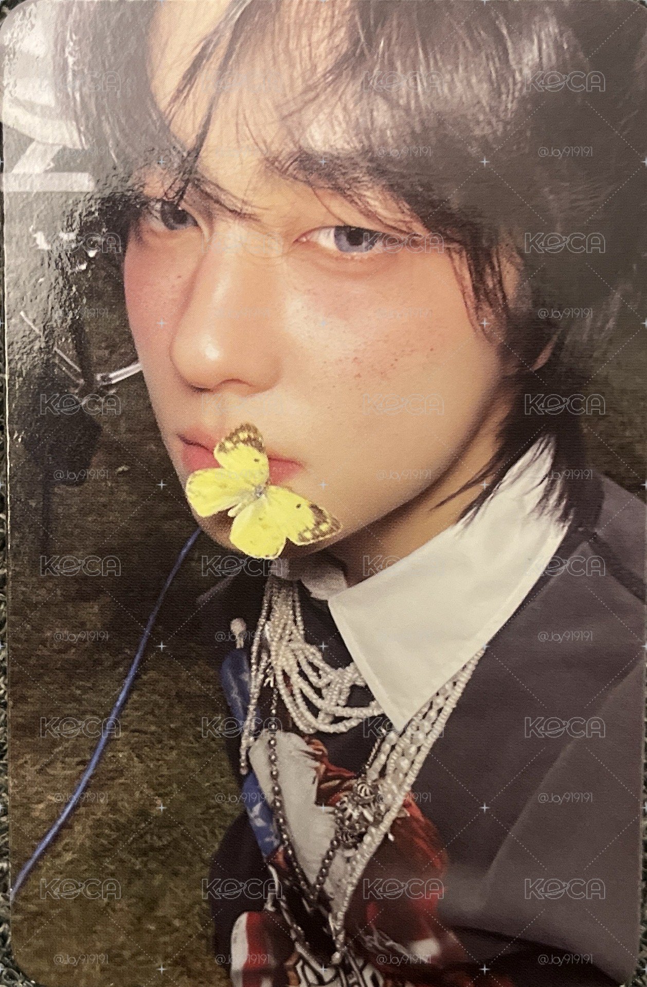 酒醉的蝴蝶（小狗ver）
