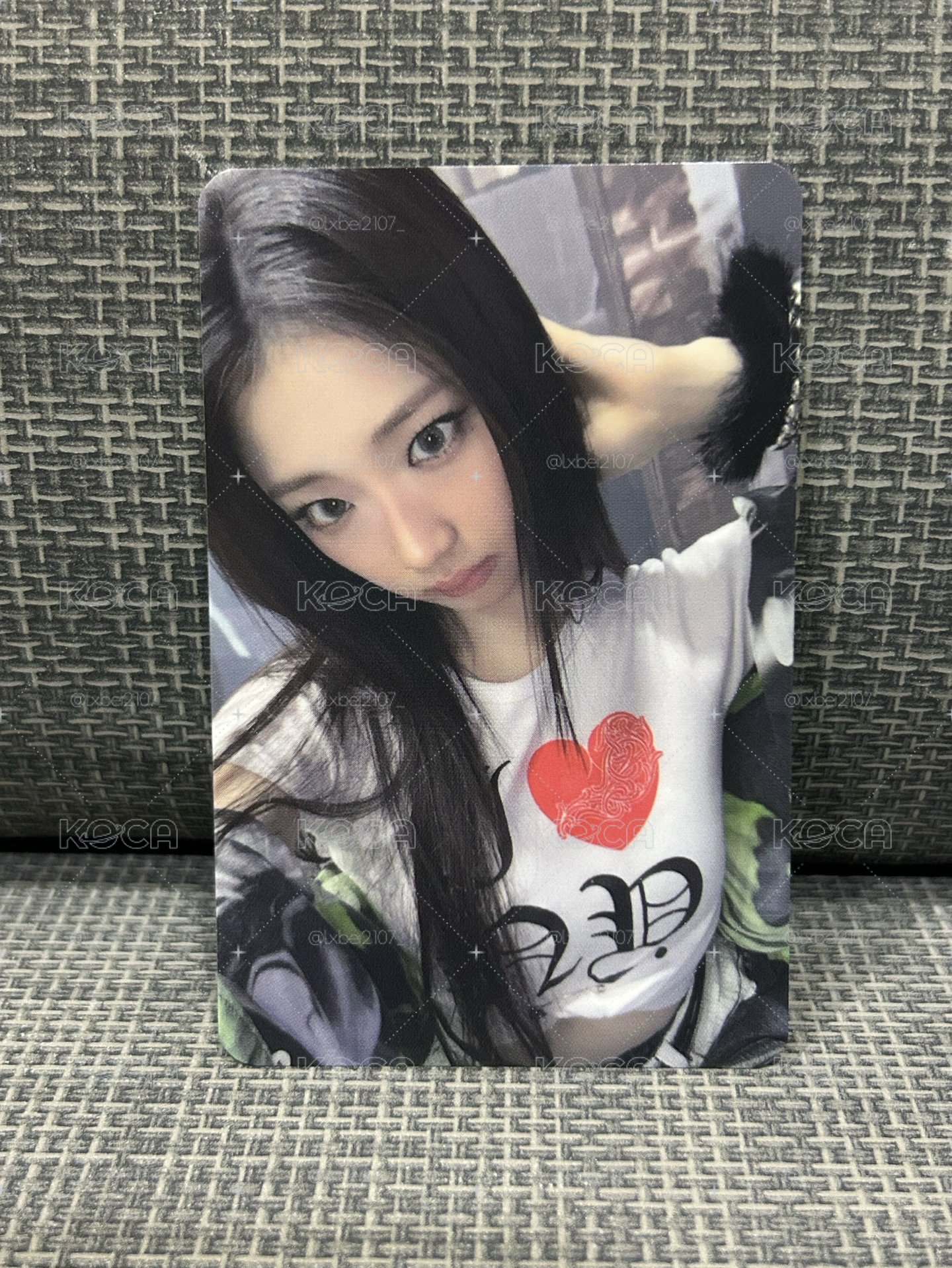 卡冊露