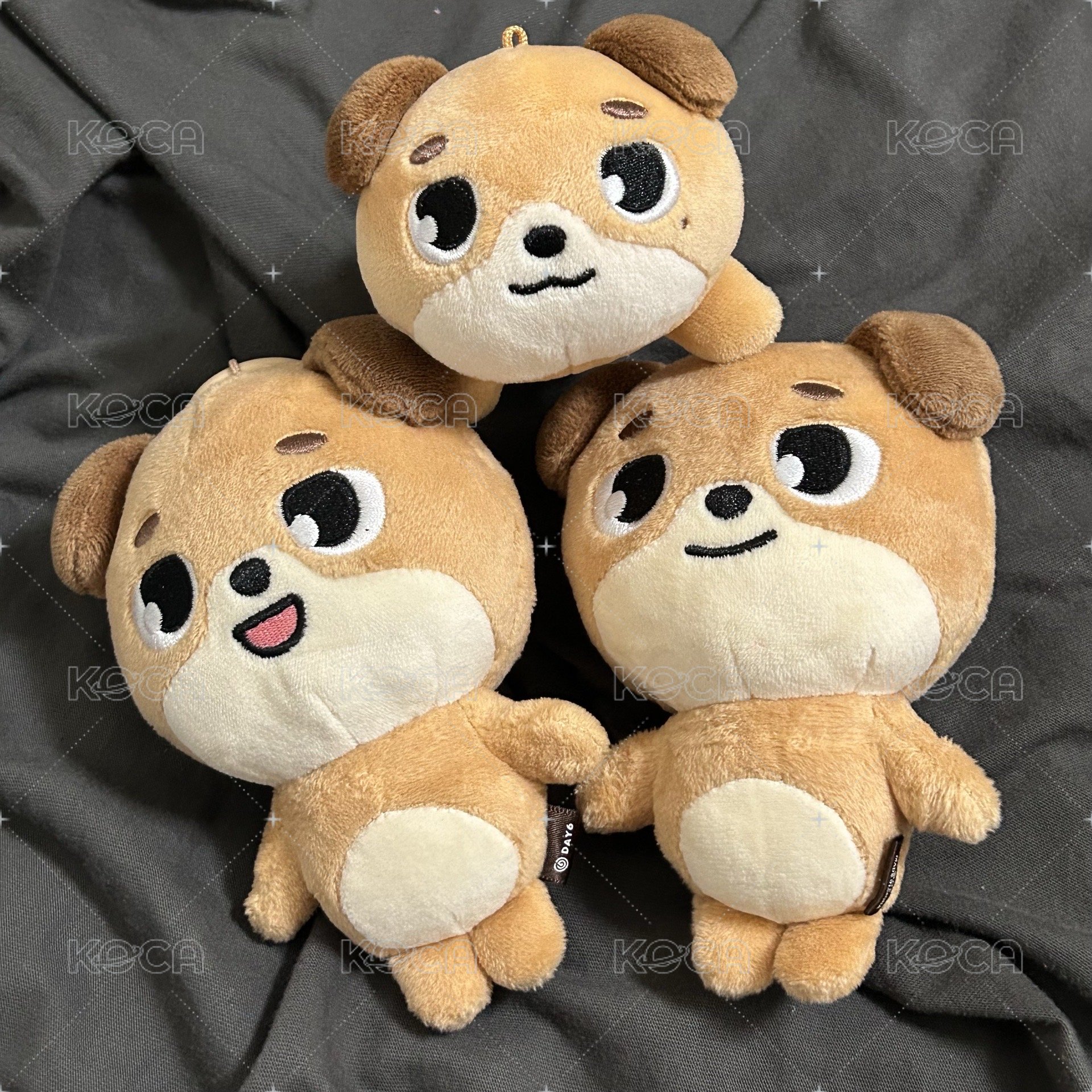 2019🐶有盒子
