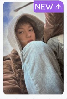綠橋馬專卡+專輯（無磁鐵貼紙