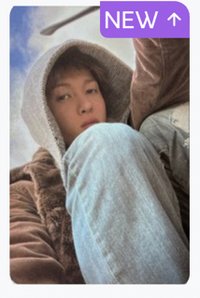 綠橋馬專卡+專輯（無磁鐵貼紙