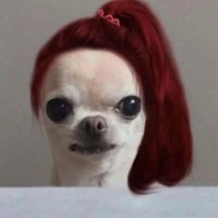 tina.zip