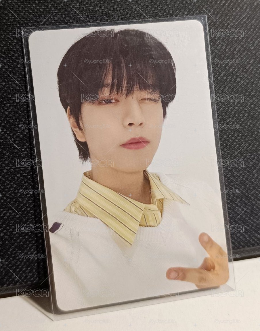 wink小狗