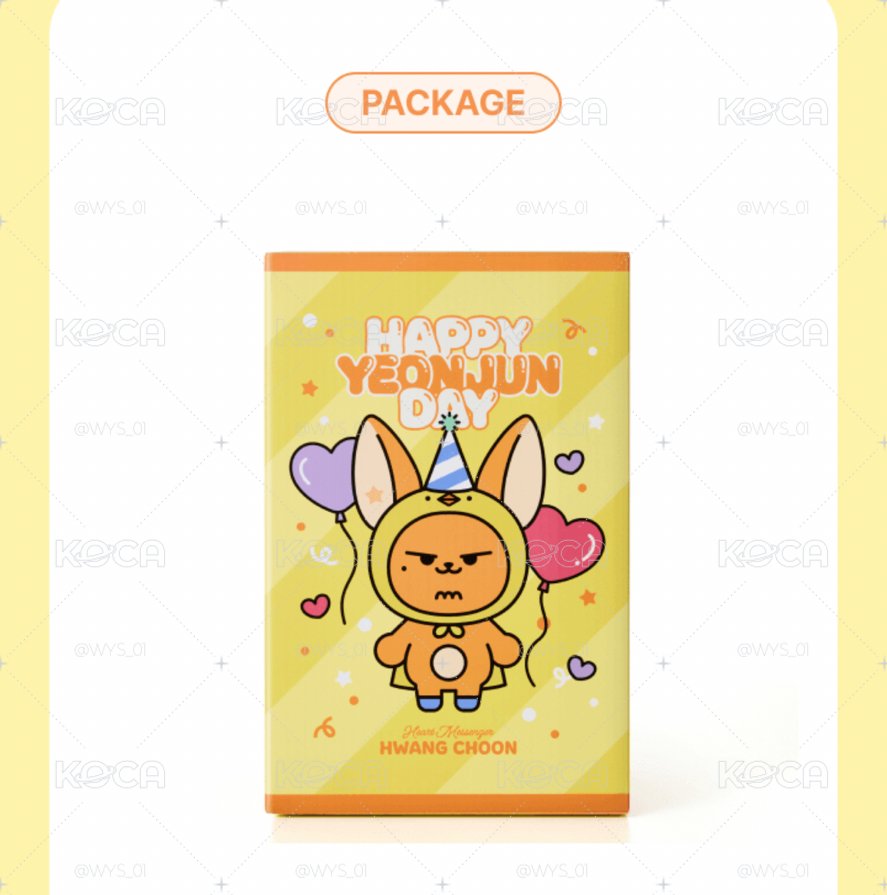 現貨 TXT 生日禮盒 紙箱寄出 竣圭