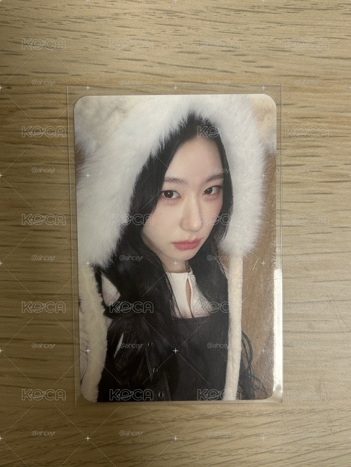 ITZY 彩領 狐狸 gold ms 13.0