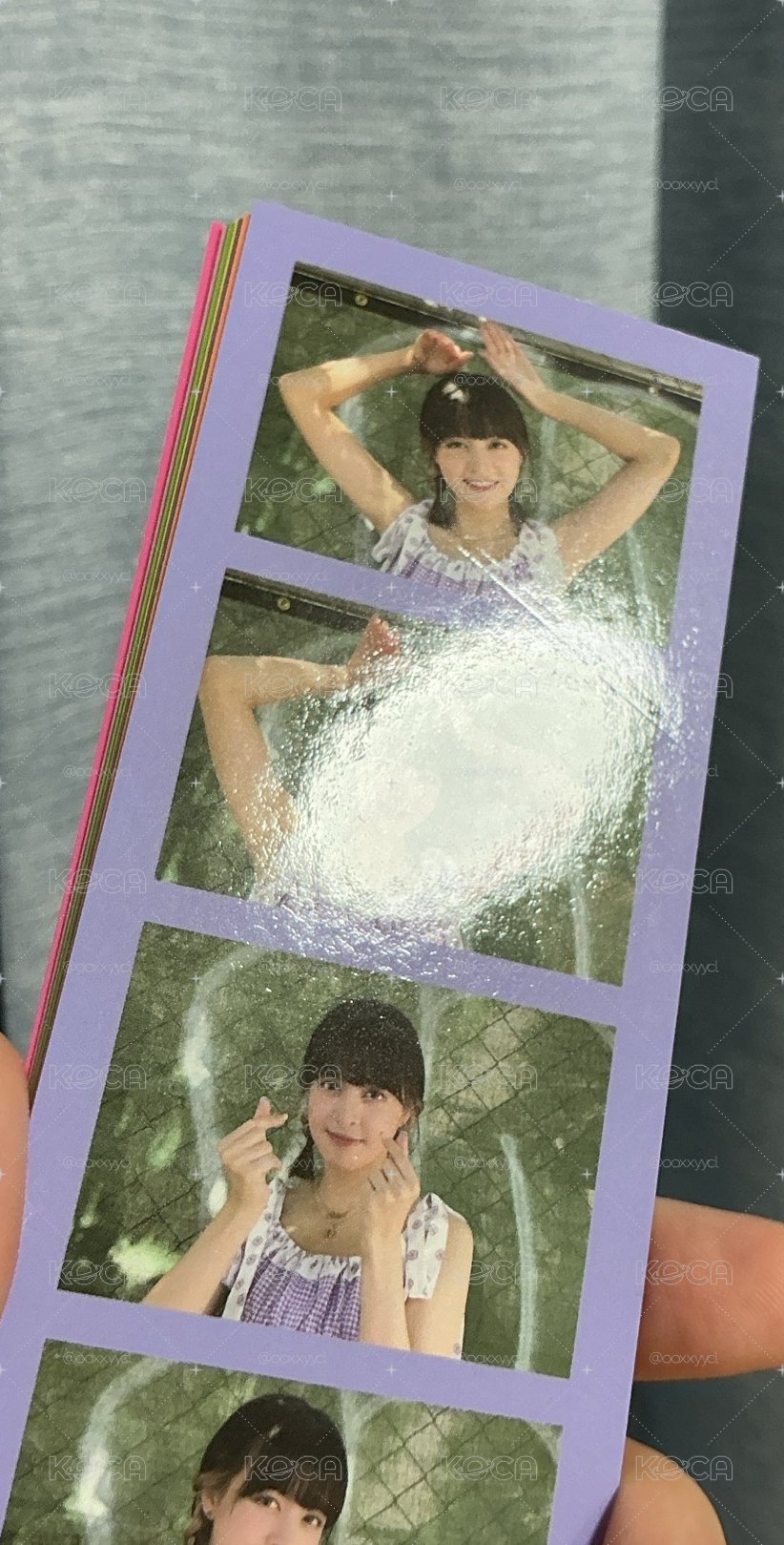 LAPB 寫真