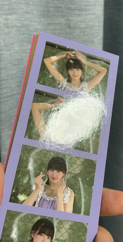 LAPB 寫真