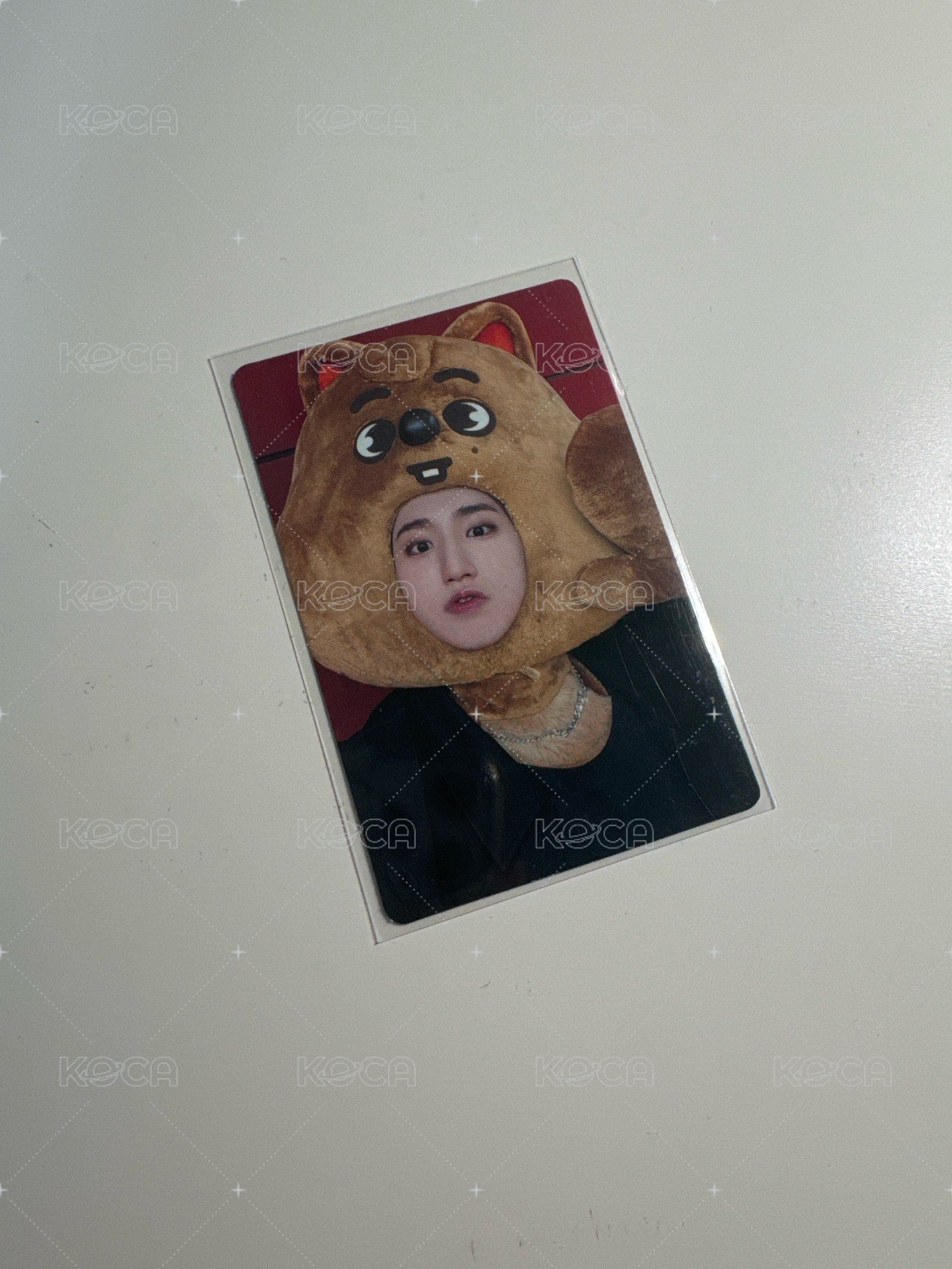 大頭🐿️（300）