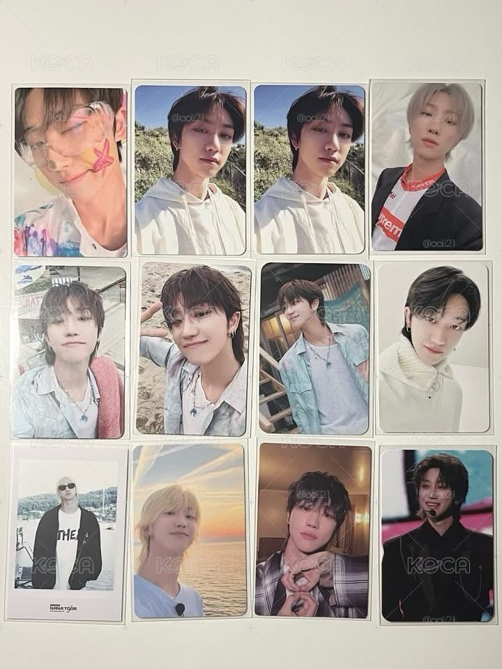 svt 小卡出清 一張不到$8